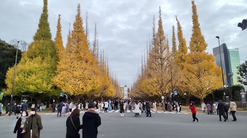 Yoyogi