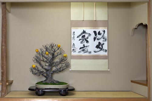 Shunkaen Bonsai Museum