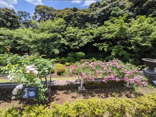 Otani Museum