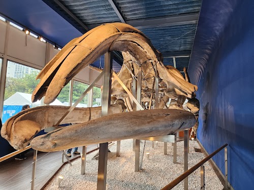 Museum of Marine Science, Tokyo University of Marine Science and Technology