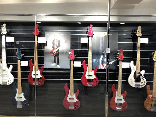 ESP MUSEUM