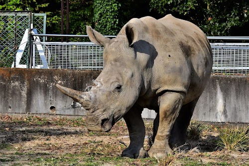 Tobu Zoo