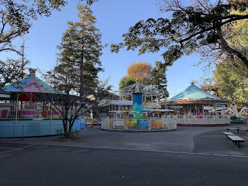 Mini Amusement Park