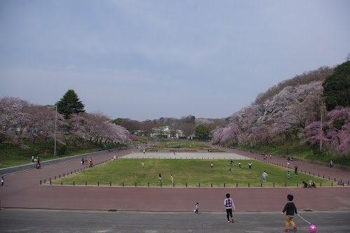 Kodomonokuni