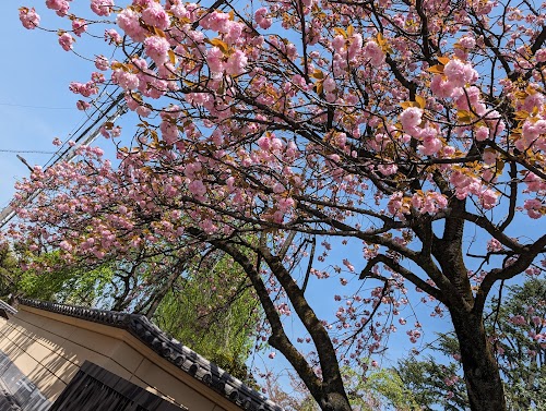 Yanaka Cemetery