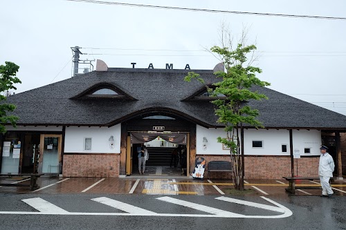 Kishi Station
