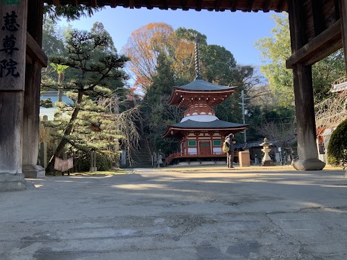 Jison-in Temple
