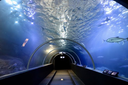 Kushimoto Marine Park