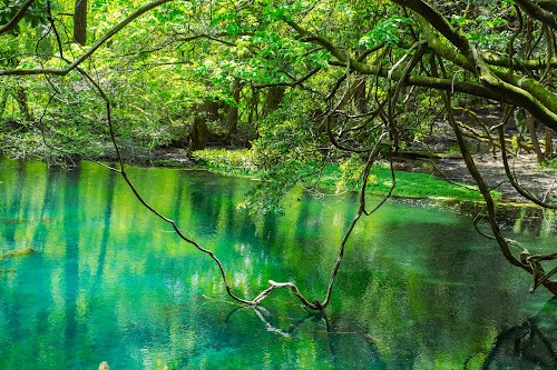  Maruike Pond location image photo