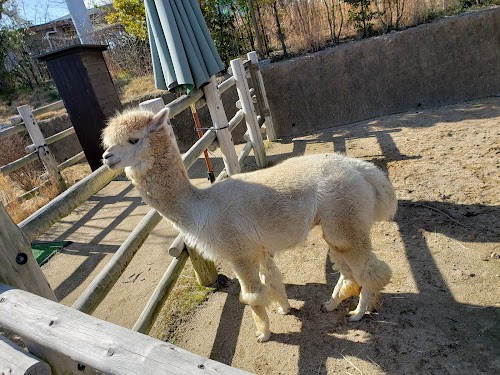  Tokiwa Zoo location image photo