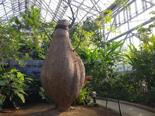  Tokiwa Museum Midoritohanatochokokuno Museum location image photo